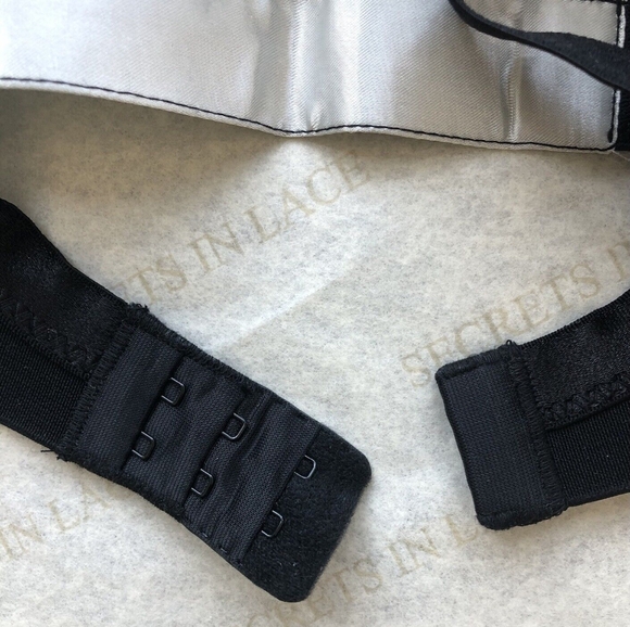 Secrets in Lace Bullet Bra - Picture 3 of 4